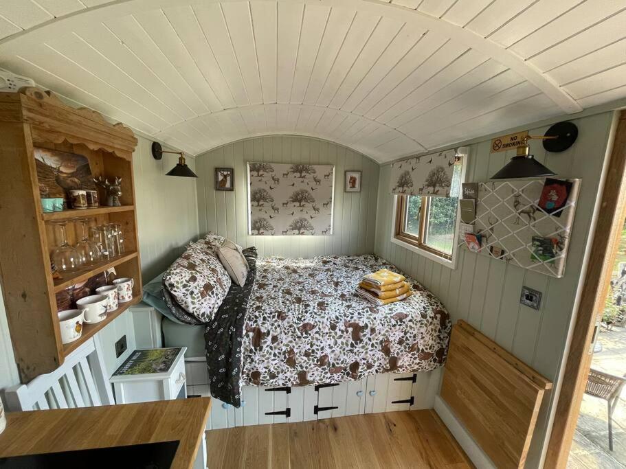 Forest View Shepherd Hut Ewhurst Экстерьер фото